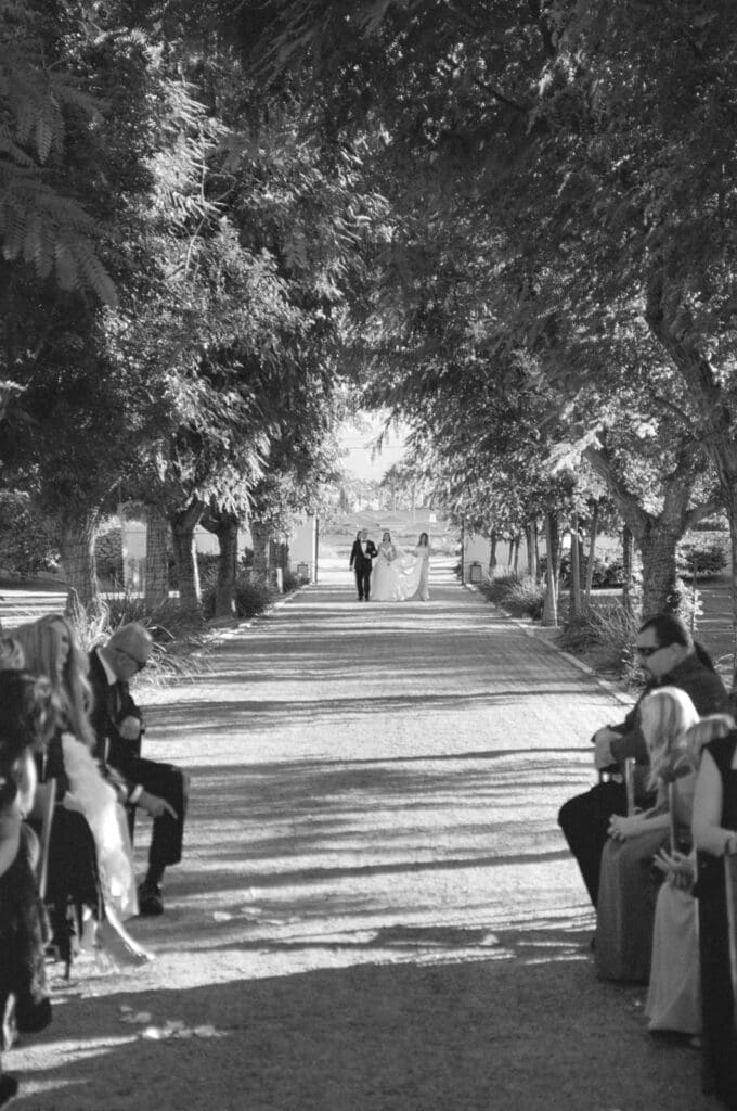 Black and white photo of guests seated along a tree-lined aisle as the couple approaches in the distance.